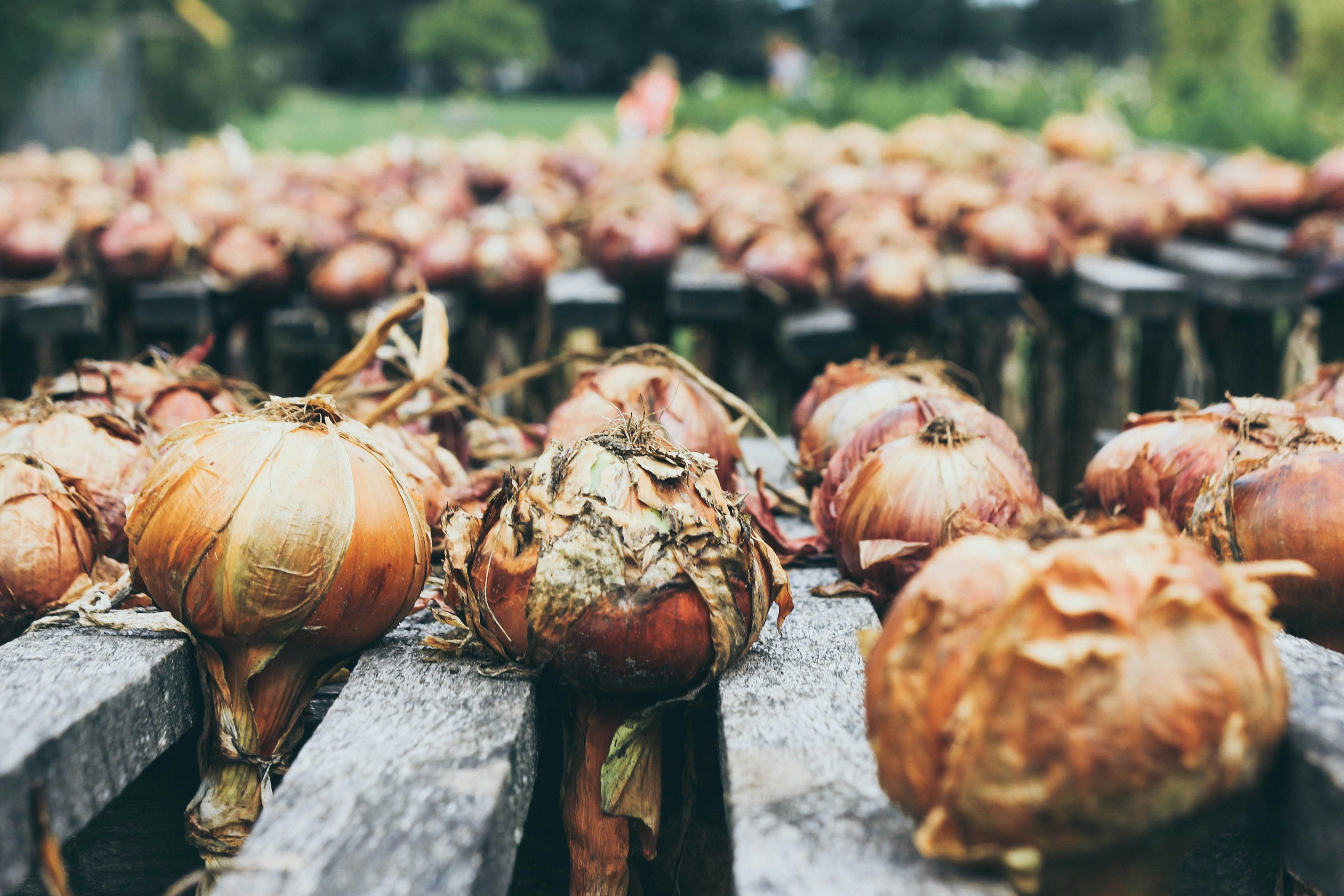 Hoe creëer je een aantrekkelijke en functionele moestuinlay-out?